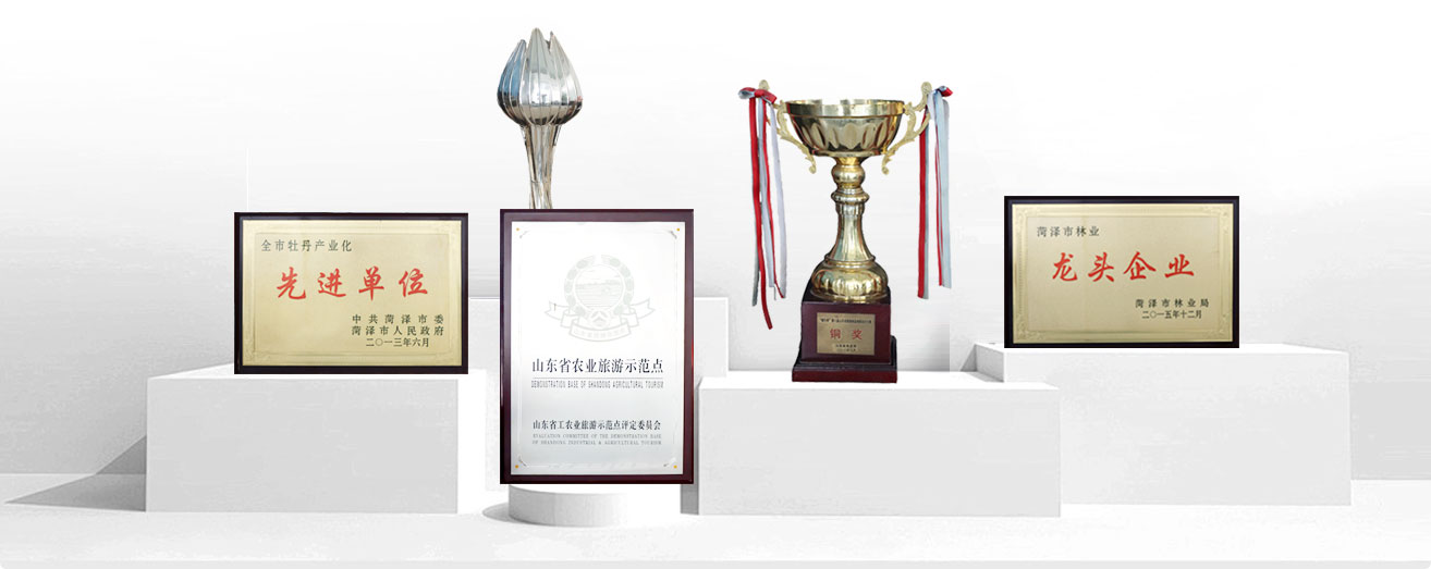 景区荣誉