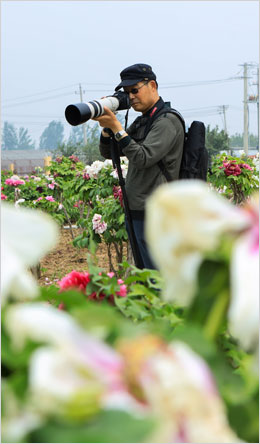 【 摄影大赛 】