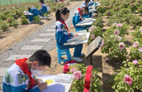 春日牡丹芳芬季研学实践欢乐多